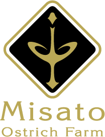 Misato Ostrich Farm