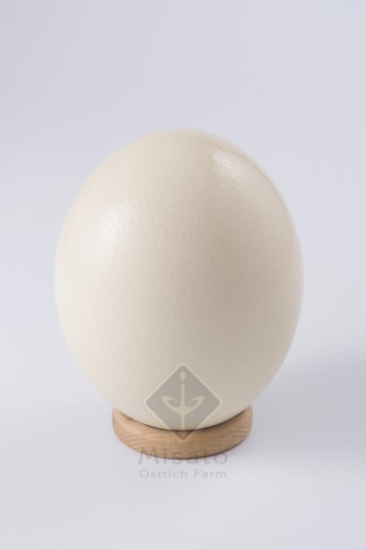 egg011